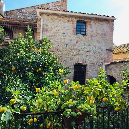 La Vieille Demeure Ξενοδοχείο Torreilles Εξωτερικό φωτογραφία