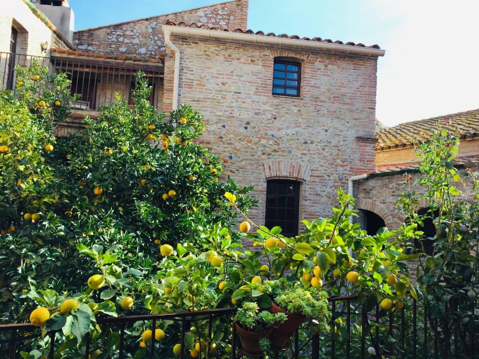 La Vieille Demeure Ξενοδοχείο Torreilles Εξωτερικό φωτογραφία